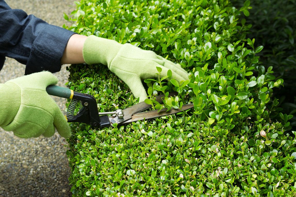 Gartenpflege